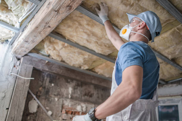 Best Cellulose Insulation in Blakely, GA