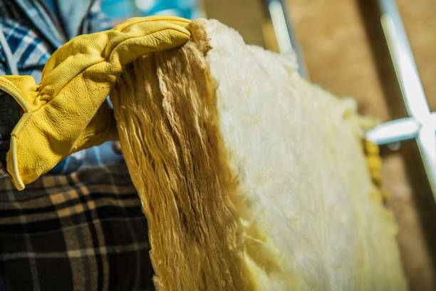 Best Geographic-Specific Insulation Services in Blakely, GA