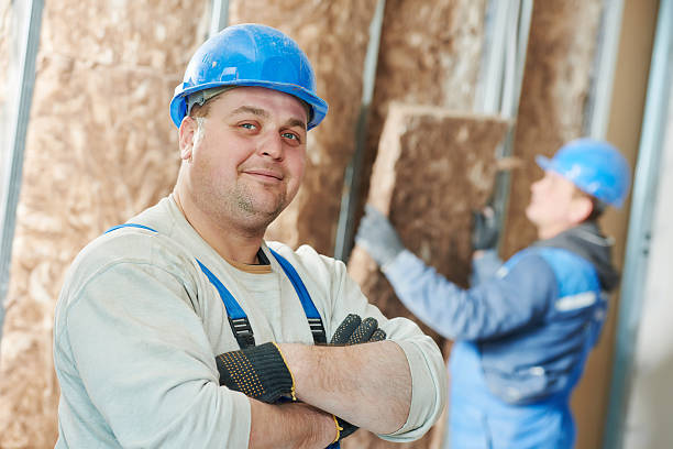 Best Insulation Maintenance and Repair in Blakely, GA