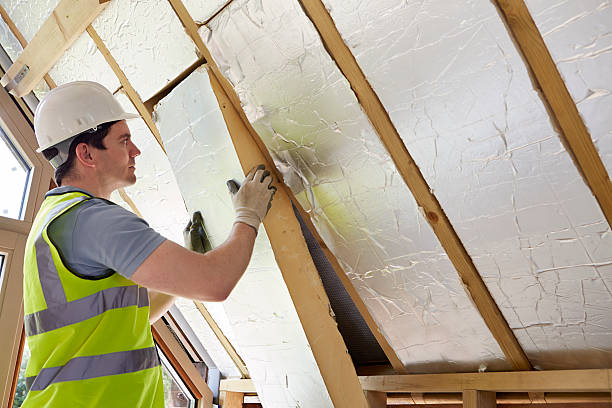 Types of Insulation We Offer in Blakely, GA