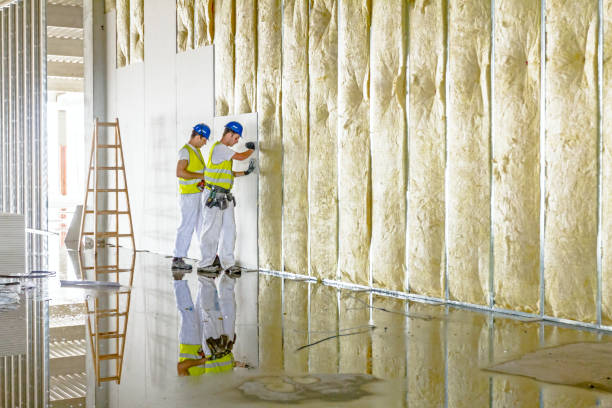 Best Fiberglass Insulation in Blakely, GA